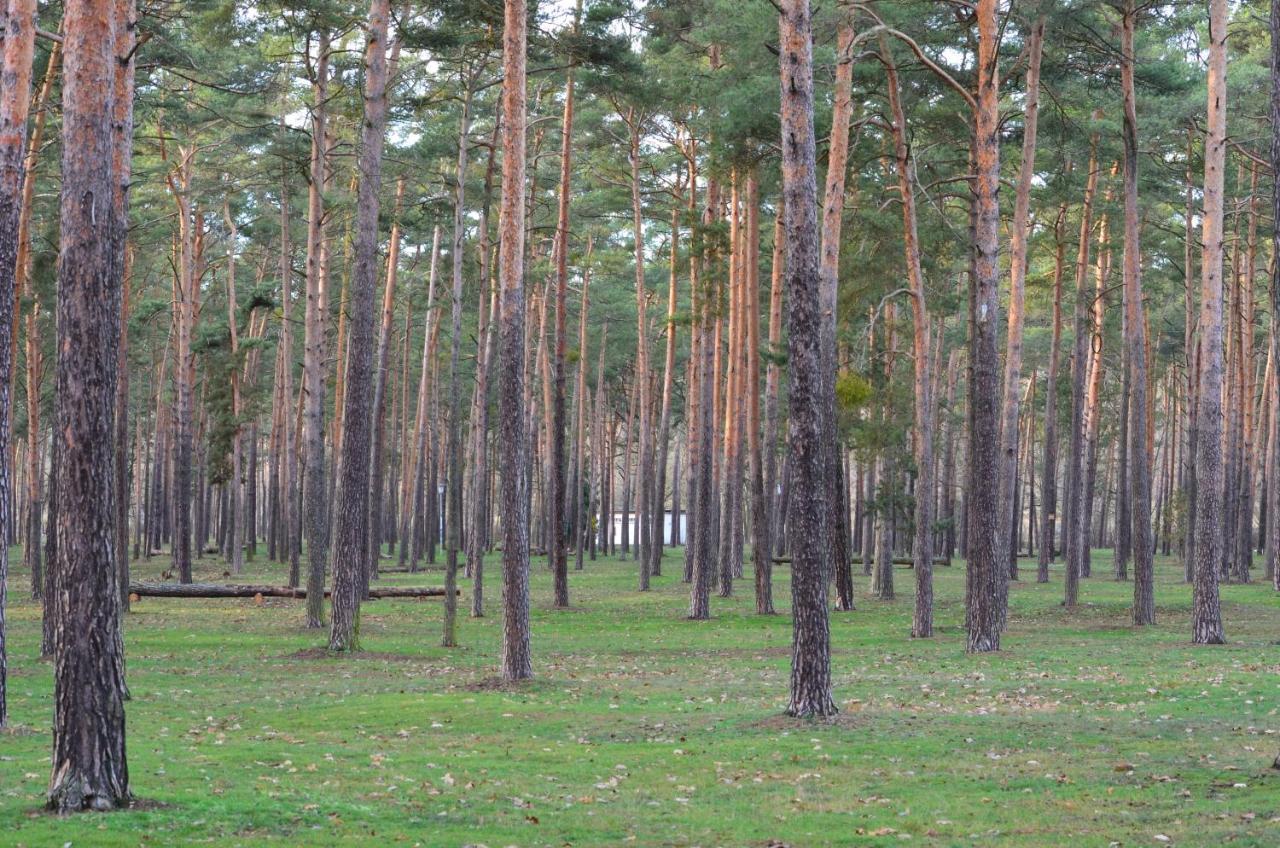 Ferienhaus Am Helenesee 5 Φρανκφούρτη  Εξωτερικό φωτογραφία